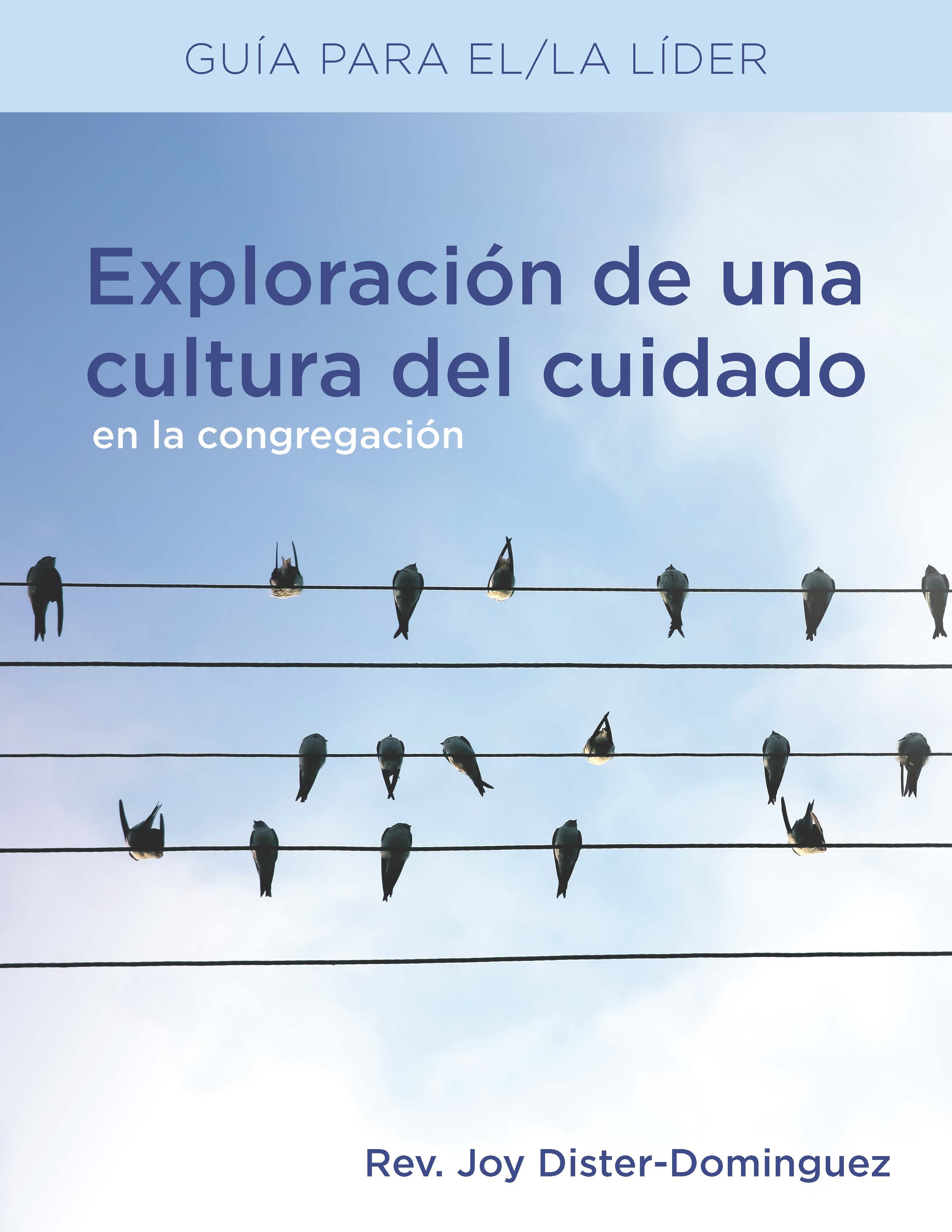 Exploración de una cultura del cuidado en la congregación