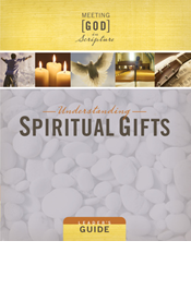 The Holy Spirit - Spiritual Gifts: Amazing Power for Everyday People  (Illuminated Bible Study Guides): 9781503227798: Rohrer, Susan: Books 