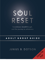 Soul Reset Adult Group Guide